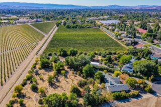 Vineyard properties in South Livermore